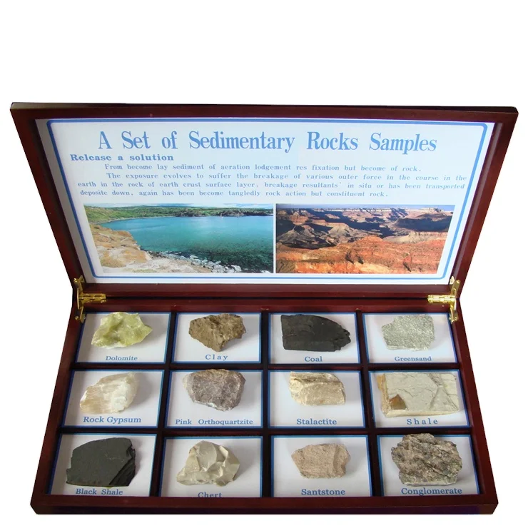 Образовательские исследования (12 видов) петрологические осадочные природные породы