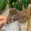 Transparent brown
