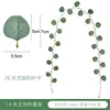 26 eucalyptus leaves (1 strip)