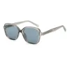 C2 bright light gray  dark gray dot paint frameYM2 gray sheet