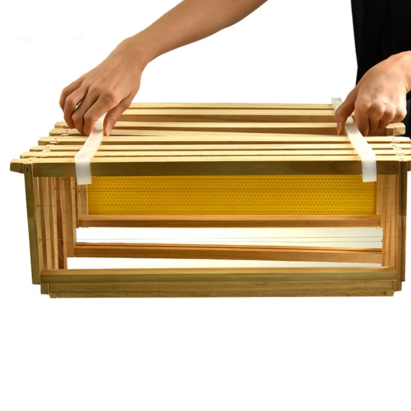 Beekeeping Apiculture Equipment Beehive Frame Spacers Plastic For Beekeeper