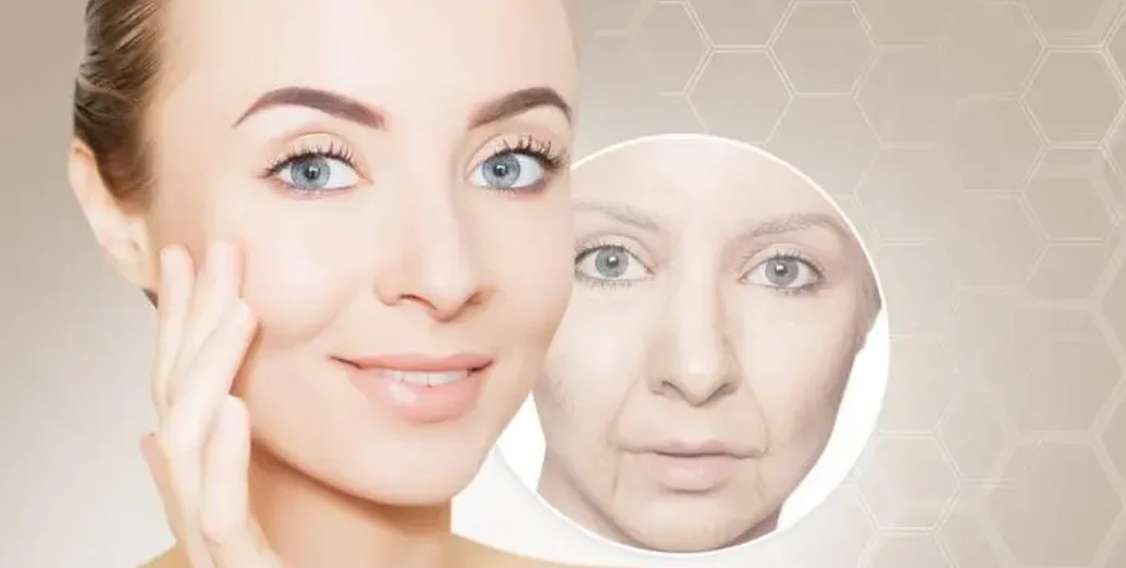 3-O-Ethyl Ascorbicacid/3-O-Ethyl-L-Ascorbic Acid CAS No.:86404-04-8 پودر سفید 2