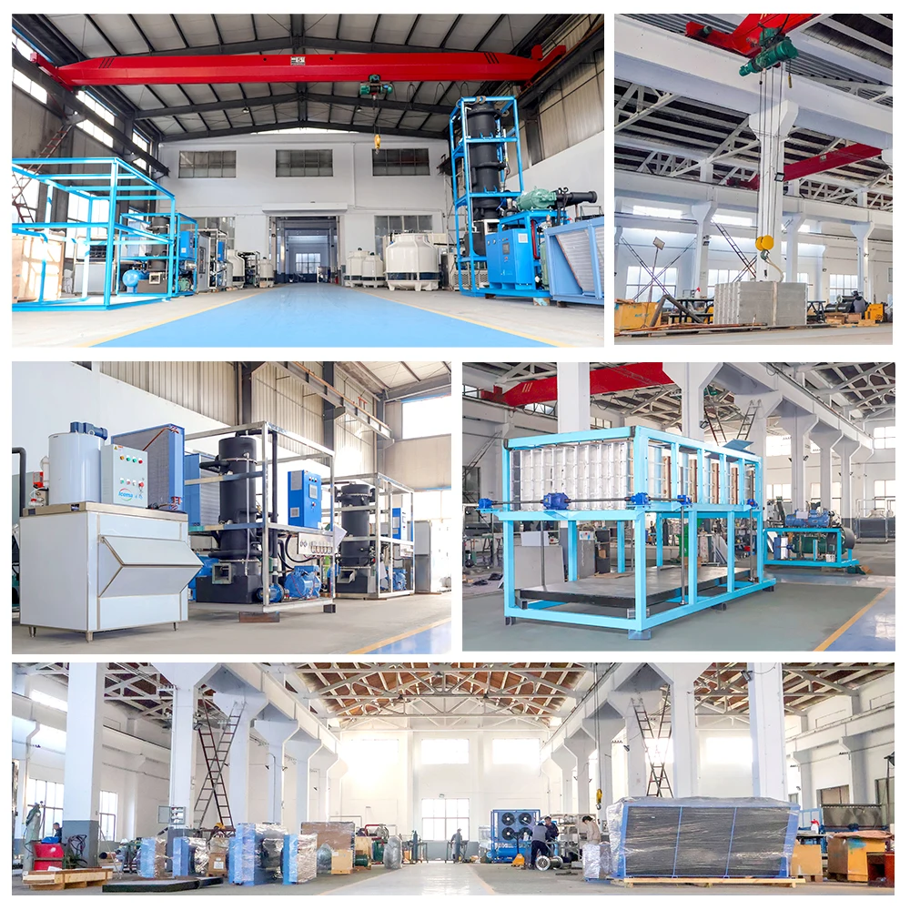 Bitzer Compressor Automatic 1 Ton Ice Block Making Machine Sale Philippines Manufacturing Plants 20-30kg Ice Storage Capacity