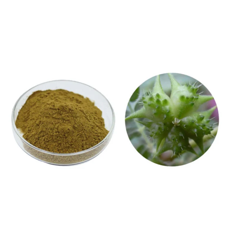 Organic Pure Natural Tribulosides Tribulus Extract Powder Saponins 40