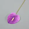 17 morado