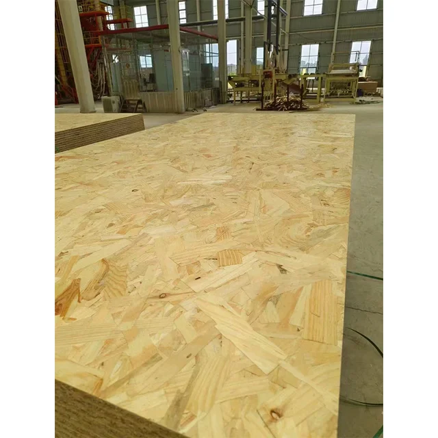 Best Selling  OSB Board Pine Poplar Falcate Paulownia  For furniture decoration