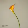 Orange eva small calla lily