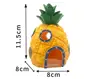 C1