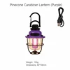 Lanterne pomme de pin verrouillable violette