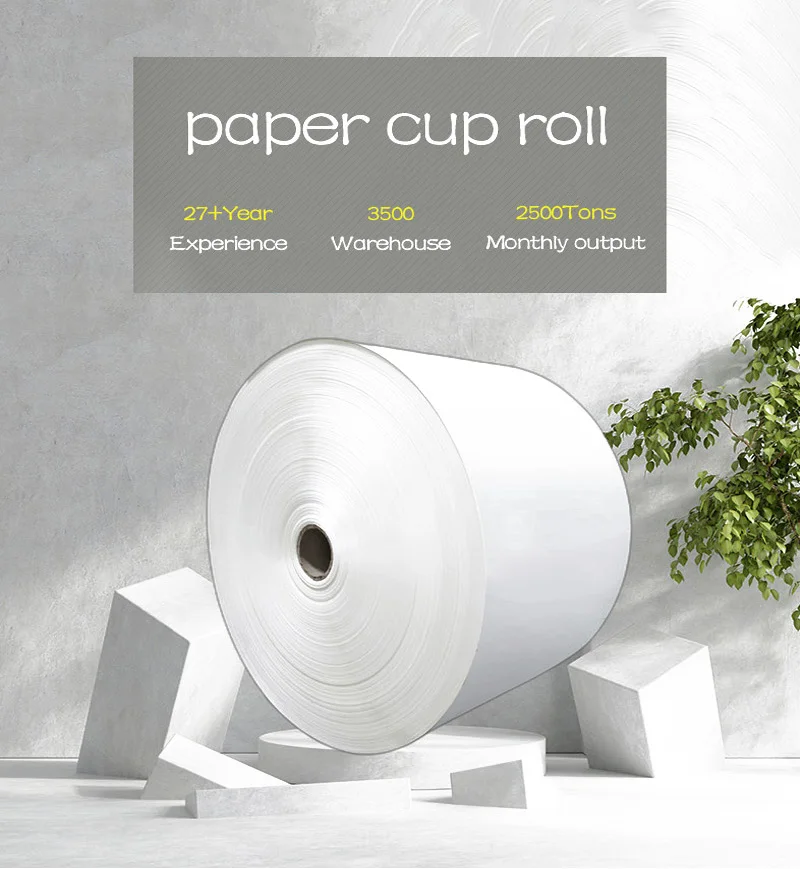 Factory Price Paper Roll Raw Material Paper Low Price Factory Direct Sale Buy Pe Coated Paper