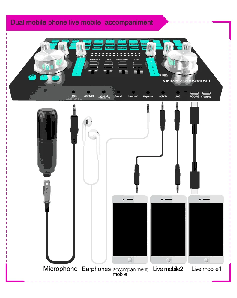 Professional A2 Sound Card Set Large Condenser Microphone With Audio  Interface Earphone for Broadcasting Chat Recording