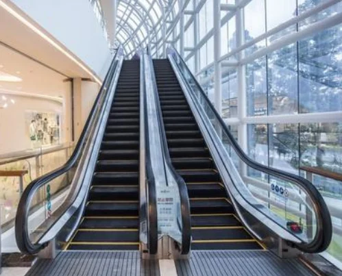 Foshan GSE Brand China Elevators and Escalators Residential Small Home Escalator Cost