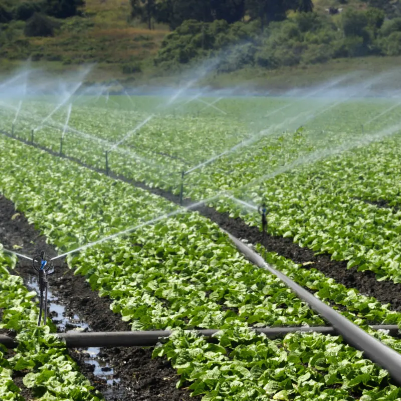 Farm Irrigation System Full Set Sprinkler for Vegetables 360 Agricultural Greenhouse Mobile Irrigation Water Sprinkler Wobbler