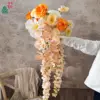 Sol cálido hacia la tarde 7