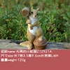 The Unconcerned Little Squirrel