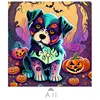 Multicolor-A11