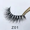 Z01