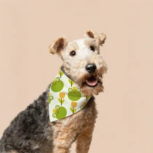 Cartoon Duck, Cartoon Frog Patterns Dog Bandana Fashionable Pet Apparel Accessories
