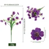 5-headed spring grass violet - purple