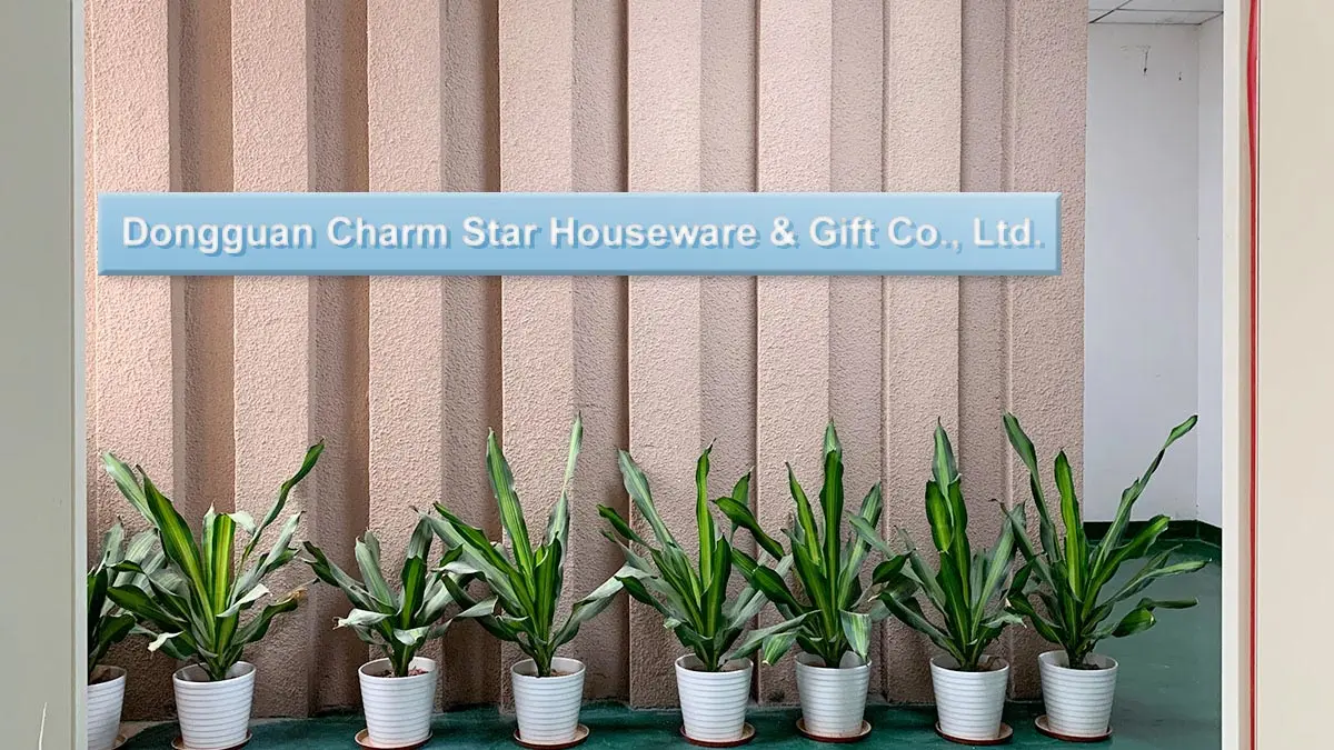 Dongguan Charm Star Houseware&Gift Co.,Ltd