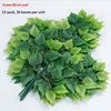 Feuilles de bouleau vert