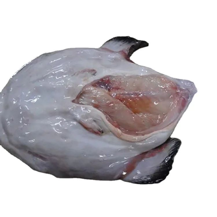 new season gutted monkfish for korea market - b