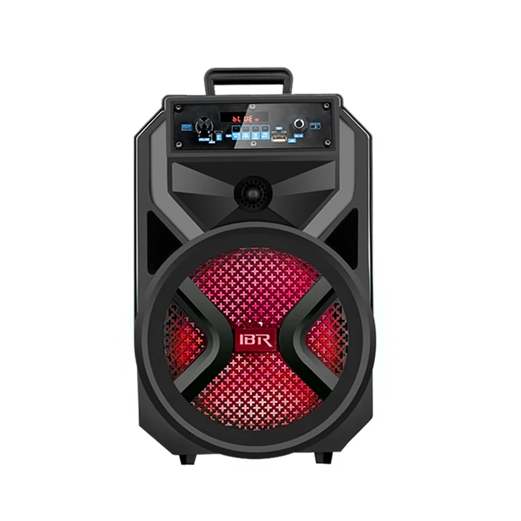 Performance Subwoofer Dj Speaker 