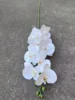 9-Head 3d Butterfly Orchid White