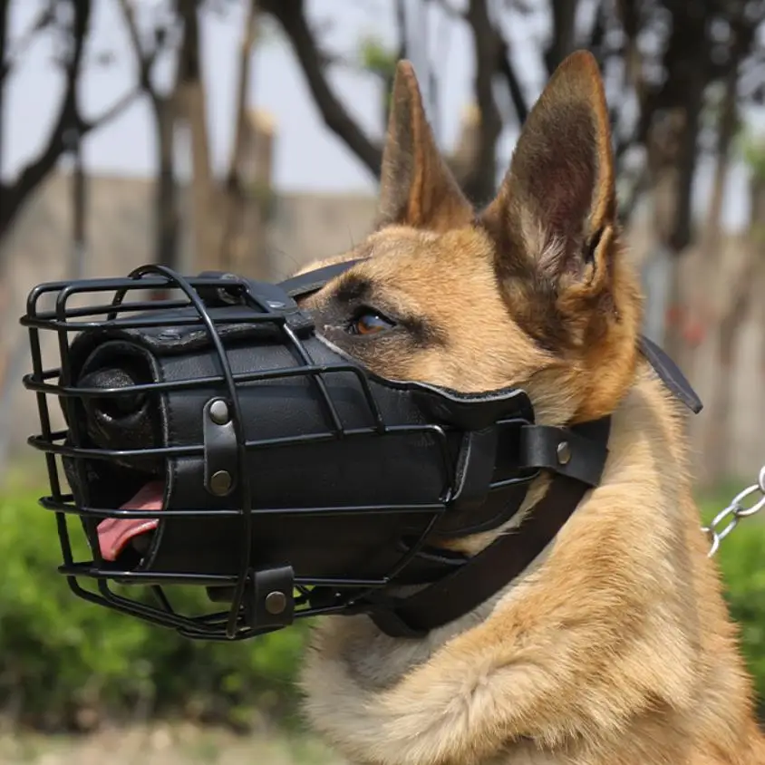 Tactical German Shepherd Muzzle K9 Dog Training Essentials
