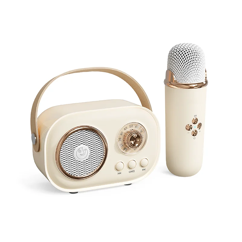 Fashion Mini Portable Retro bluetooth Speaker Custom Karaoke Wireless Speaker with Mic and bluetooth