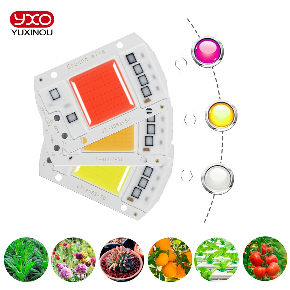 YXO Yuxinou Full Spectrum LED Light - 50W COB Grow Chip