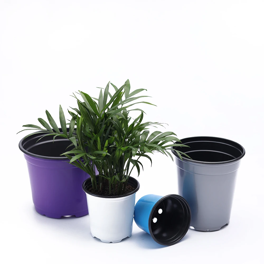 Colorful Flower Plant Pot Double Color Pp Disposable Plastic Garden Small Flower Pots