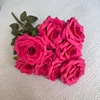 Rojo