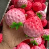 strawberry crunchy brick