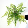 15 foglie di felce tricolore Maidenhair nuova