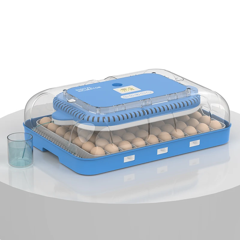 HHD 138 Rolling Best Automatic Egg Incubator Machine Solar Egg Incubator for Duck