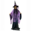 Animated Witch