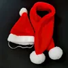 Red pet hat and scarf