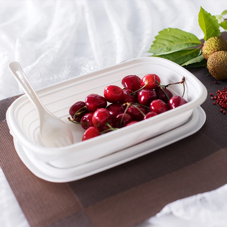 PP Plastic Lunch Box Disposable 3 4 5 6 Compartment Eco-Friendly