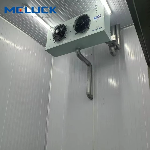 Low Temperature Cold Room Refrigeration Cooling System 220V Cold Storage Room For Food Freezer