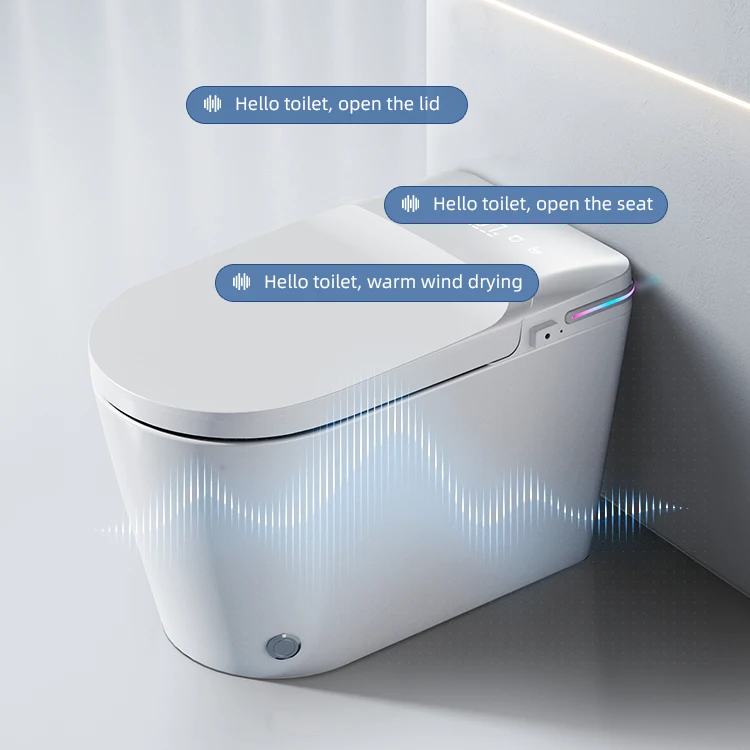 Chaozhou Wc Ceramic Intelligent Automatic Wc Korean Smart Japanese Premium Toilet