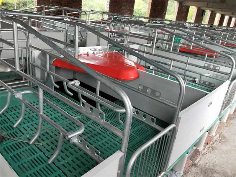 Sow Farm Pig Farrowing Pen - Buy Pig Cage pig Pen pigsty Farming sow ...