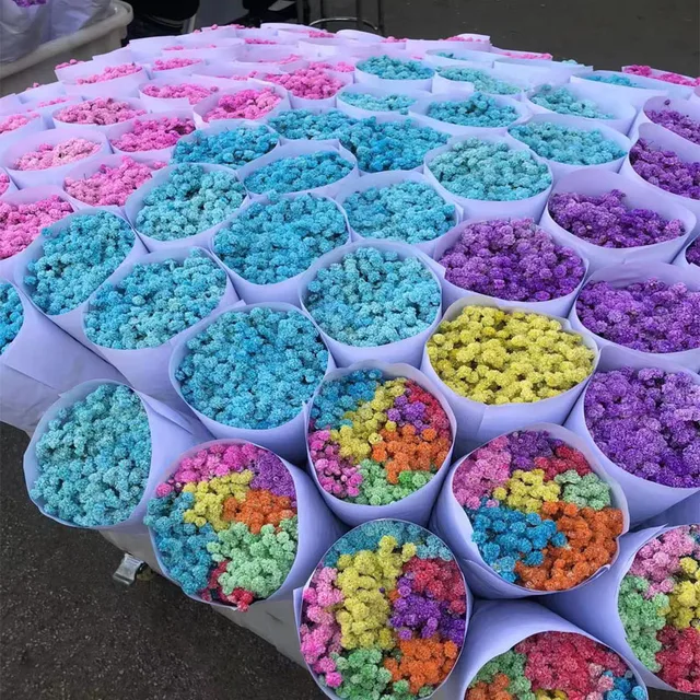 Gypsophila fresh flower decoration wedding  colorful baby  breath from China 0.5kg/bundle purple pink yellow blue