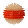 สีส้ม