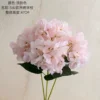 Light  Pink