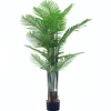 Palma de areca 180cm