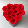 12 pezzi