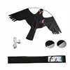 aquilone nero con artiglio rosso Claw Scare Bird A (prezzo per aquilone singolo)