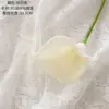 Creamy white