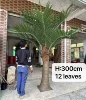 H:300CM 12 Leaves